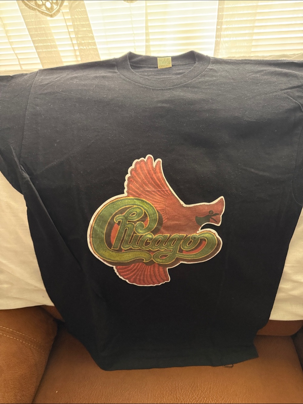 Chicago Graphic Black Short-Sleeve Tee with Red & Green Logo size large